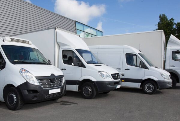 poszukiwana firma transportowa bank żywności chojnice